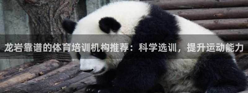 富联娱乐登录地址查询：龙岩靠谱的体育培训机构推荐：科