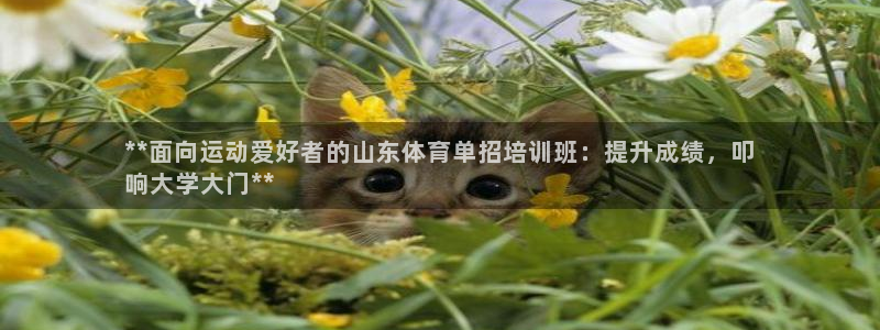富联网是什么意思