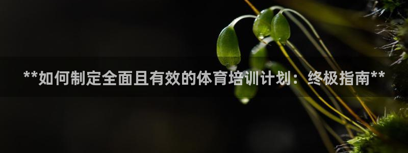 富联娱乐测速登录不上：**如何制定全面且有效的体育培训计划：