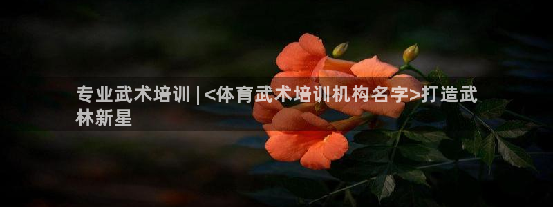 富联娱乐噢 411O31 富联：专业武术培训 | <