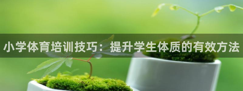 富联娱乐是真的吗：小学体育培训技巧：提升学生体质的有