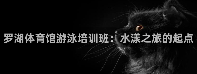 富联娱乐负责人是谁：罗湖体育馆游泳培训班：水漾之旅的