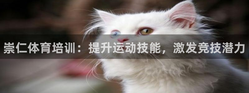 富联娱乐官方网站下载安卓：崇仁体育培训：提升运动技能